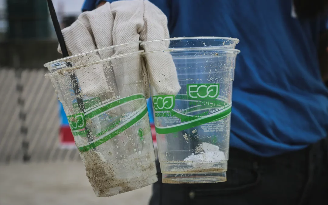 New laws in the Netherlands for disposable cups effective from January 1st, 2024